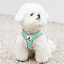 강아지하네스